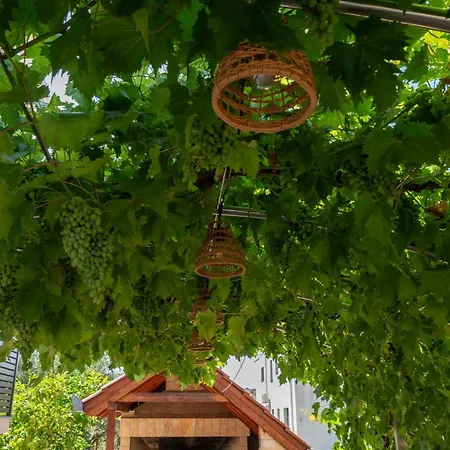 Lägenhet Nevistic *