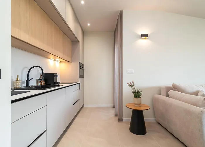 Nevistic Τρογκίρ